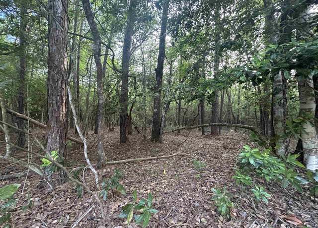 Property at Lot 8 & 9 E Wildwood Dr, Village Mills, TX 77663