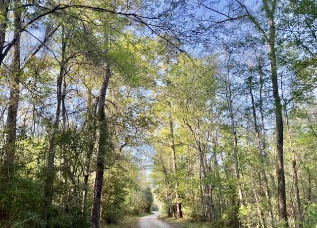 Property at County Road 4205, Orange, TX 77632