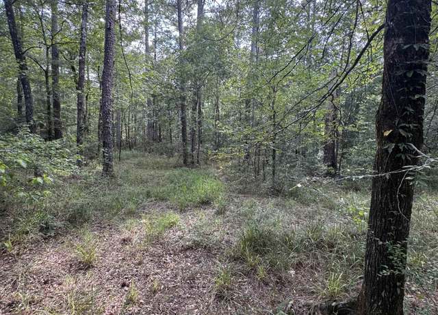 Property at 0000 US Hwy 287, Chester, TX 75936