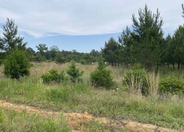 Property at 286 Cr 3060, Newton, TX 75966