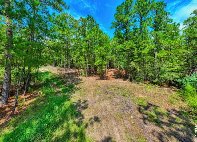 Property at 000 Parkside Dr, Brookeland, TX 75931