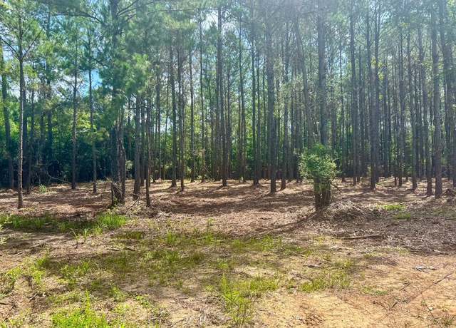 Property at 1465 County Road 716, Buna, TX 77612