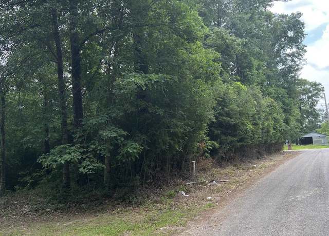 Property at 0000 Love St, Vidor, TX 77662