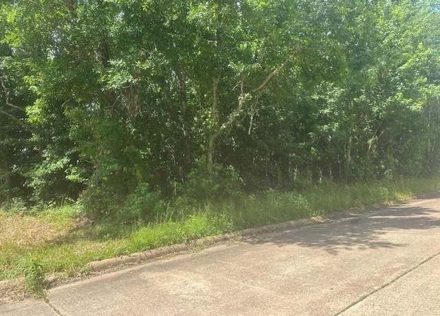Property at Dundee, Vidor, TX 77662