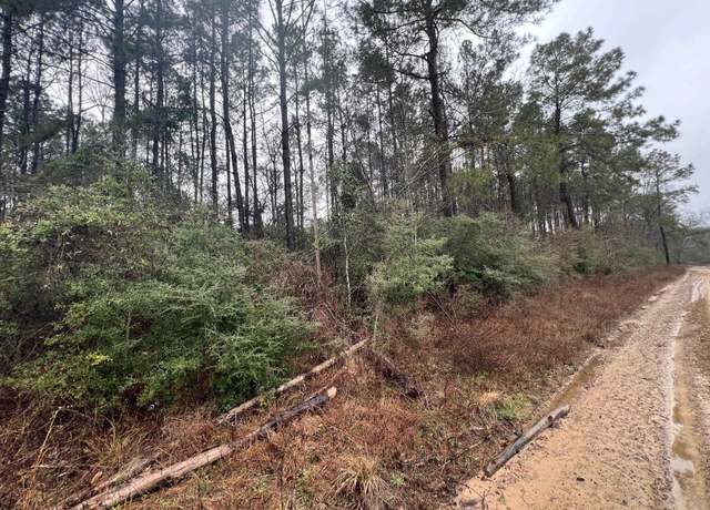 Property at 236 County Road 4583, Spurger, TX 77660