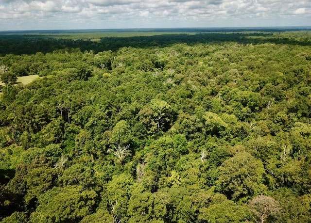 Property at 11.8+/- Acs Cr 4190, Woodville, TX 75979
