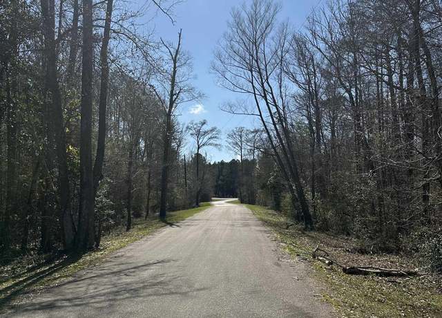 Property at 1.571 AC Lot 21 County Road 173, Jasper, TX 75951