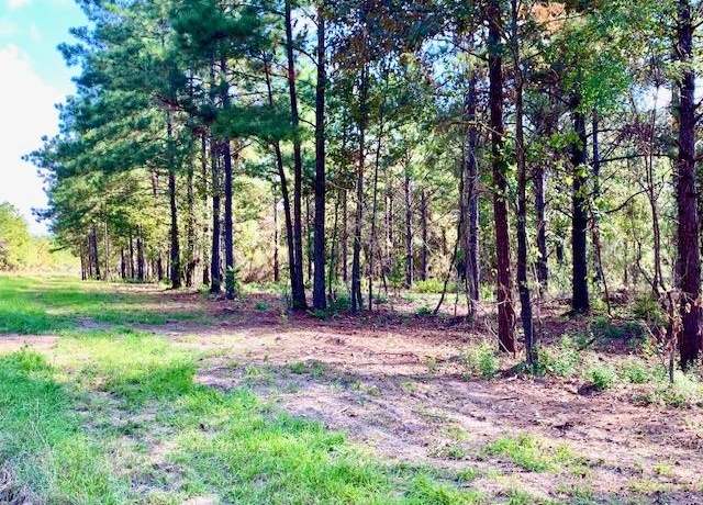 Property at TBD 16.7+/- AC Cr 2310, Woodville, TX 75979