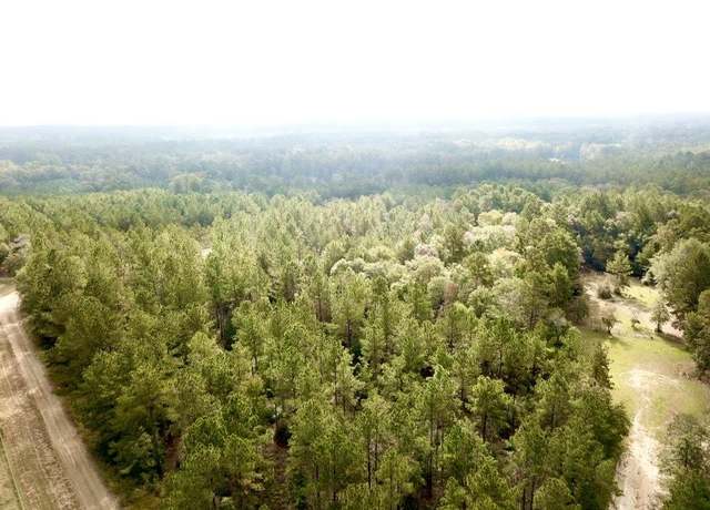 Property at TBD 6.8+/- AC Cr 2310, Woodville, TX 75979