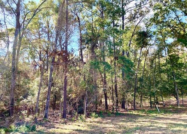 Property at TBD 4.6+/- AC Cr 2310, Woodville, TX 75979