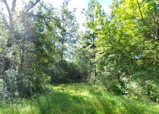 Property at 0 Co Rd 616, Buna, TX 77612