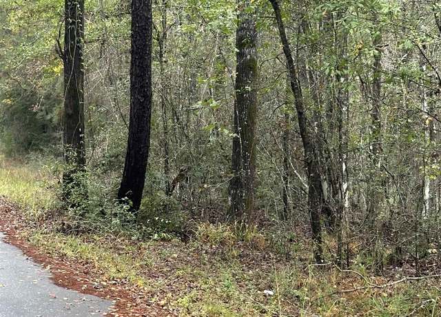 Property at TBD County Road 065, Jasper, TX 75951