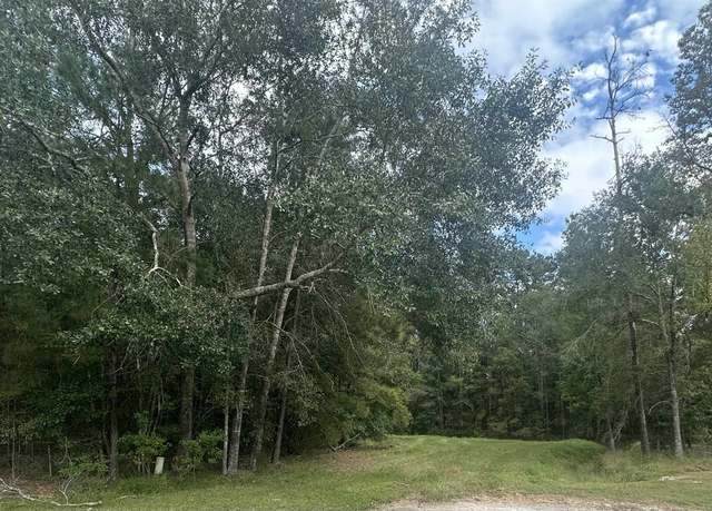 Property at 00 Colony Dr, Kountze, TX 77625