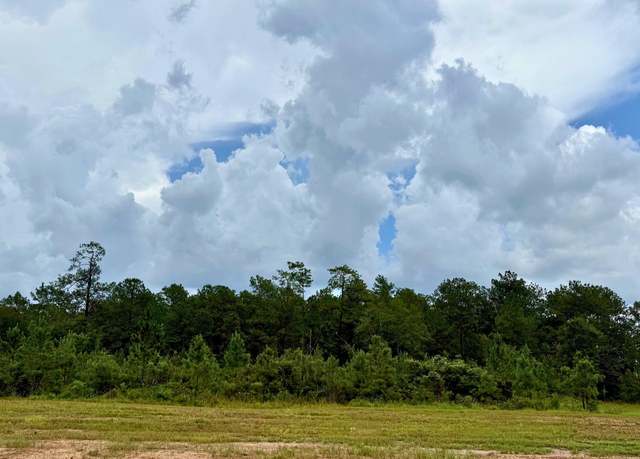 Property at 13160 Blackberry Dr, Lumberton, TX 77657