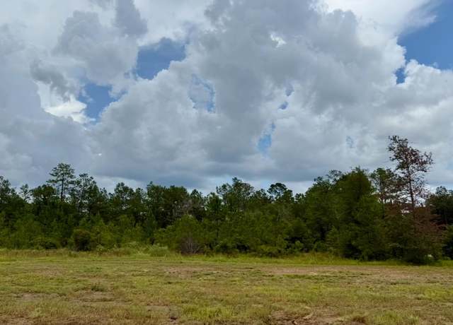 Property at 13165 Blackberry Dr, Lumberton, TX 77657