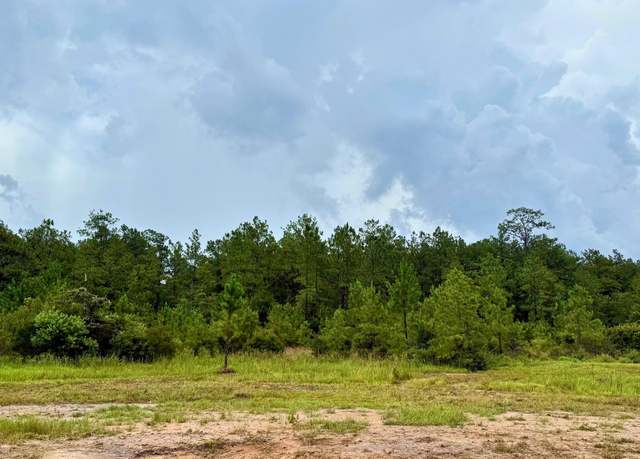 Property at 13255 Blackberry Dr, Lumberton, TX 77657