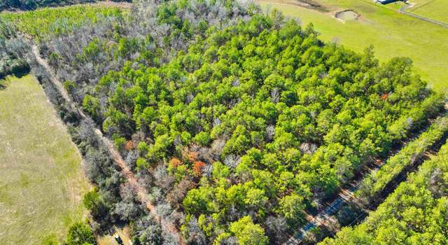 Photo of 1230 County Road 2039, Newton, TX 75966