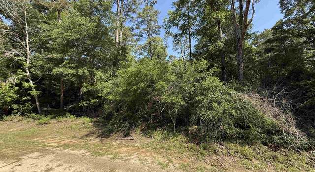 Photo of 0000 Country Ln (off of CR 4390), Woodville, TX 75979