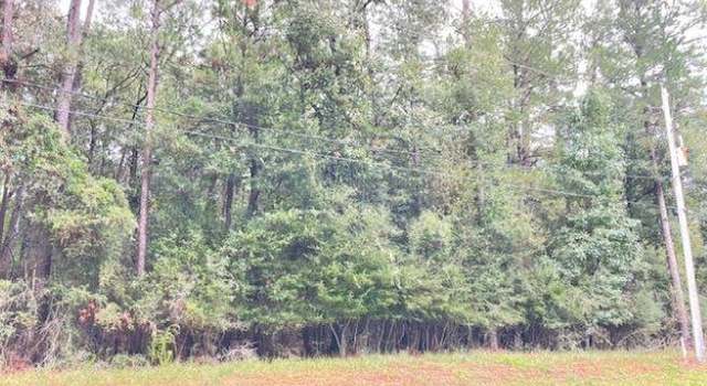Photo of 000 Holly St, Village Mills, TX 77663