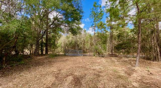 Photo of CR 4102, Call, TX 75993