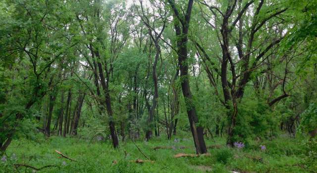 Photo of N 24th St, Denison, IA 51442