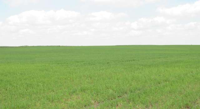 Photo of 37 A P70, Ogden, IA 50212