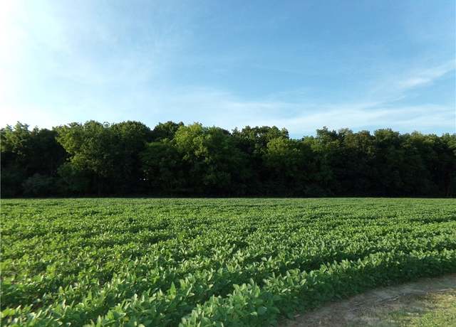 Property at #11 Deer Lake Ests, Findlay, IL 62534