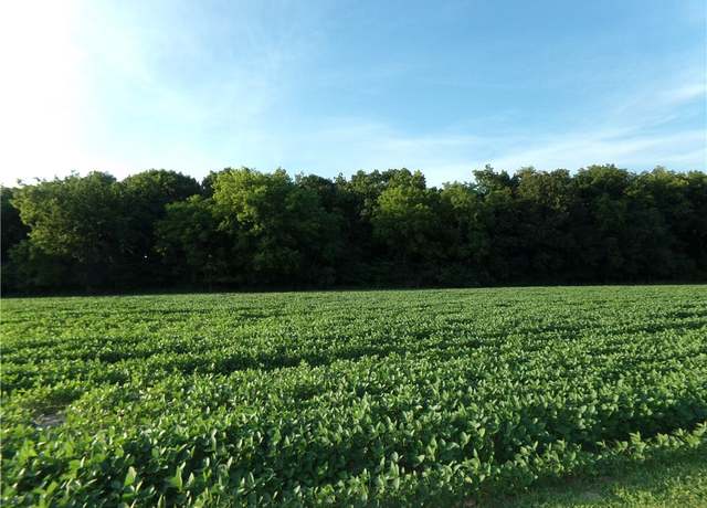 Property at 10 Deer Lake Est, Findlay, IL 62534