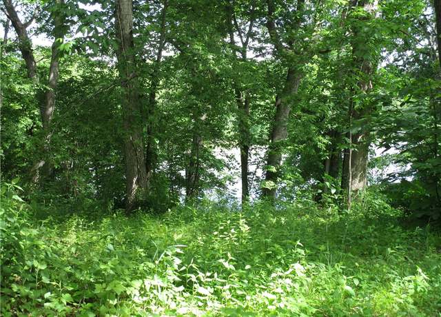 Property at 47 Lakeshore Dr, Pana, IL 62557