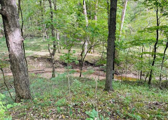 Property at Lot 4, St Elmo, IL 62458
