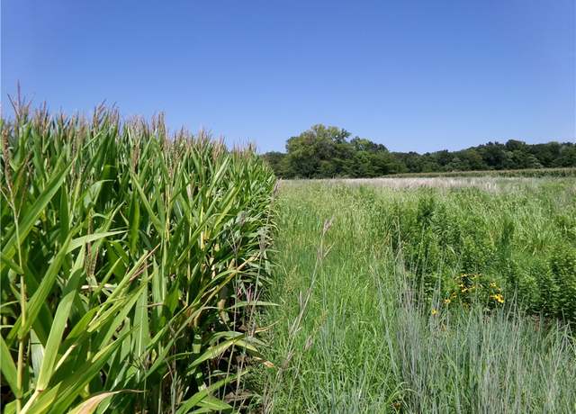 Property at 1194 E 1700 Rd, Shelbyville, IL 62565