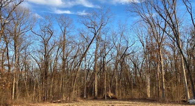Photo of 5575 E 200 N County Rd, Cowden, IL 62422