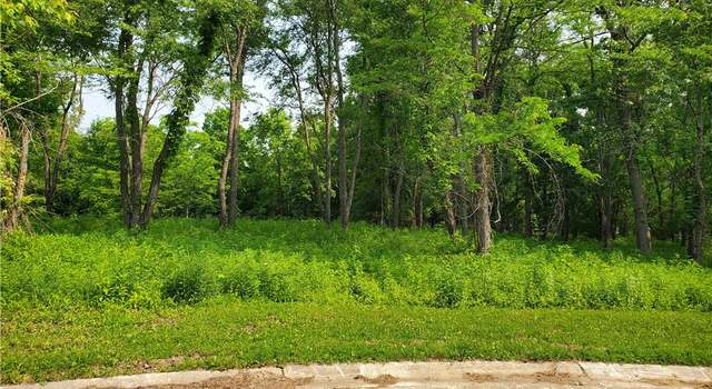 Photo of 1250 Silver Leaf Ct, Mt. Zion, IL 62549