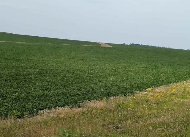 Property at 00XX   (78.84) Wheeler Rd, Irene, IL 61016