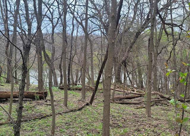 Property at 4 Waterford Dr, Galena, IL 61036
