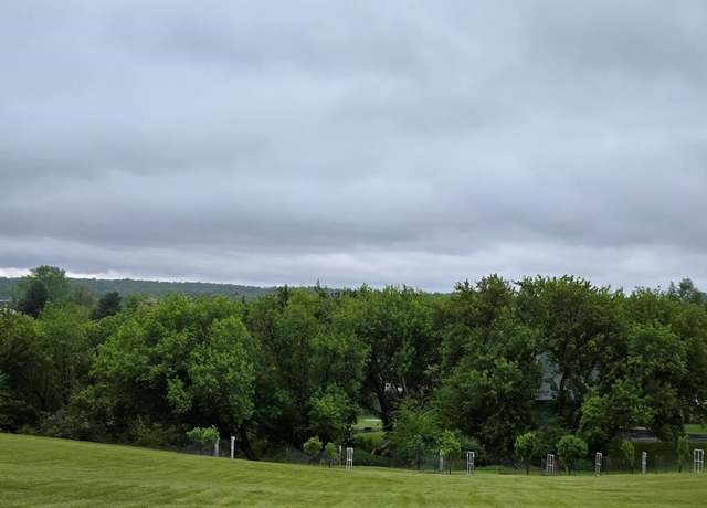 Property at 23-206 Blackberry Ct, Lake Carroll, IL 61046