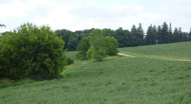 Photo of TBD W Council Hill Rd, Galena, IL 61036