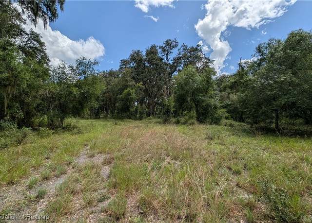 Property at Sasser Rd, Zolfo Springs, FL 33890