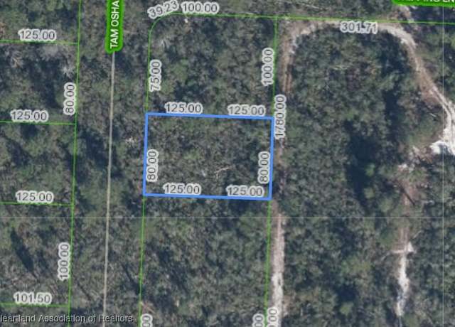 Property at 10723 Tam Oshanter Blvd, Sebring, FL 33875