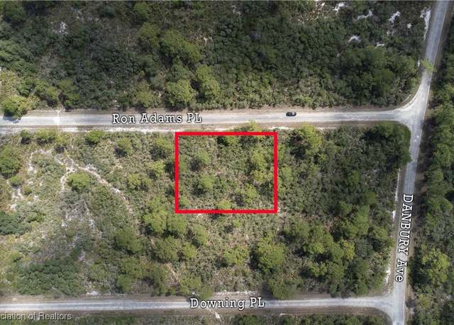 Property at 606 Ron Adams Pl, Lake Placid, FL 33852