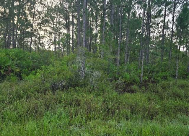 Property at 660 Seneca Dr NW, Lake Placid, FL 33852
