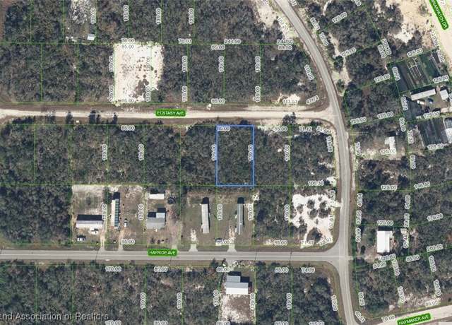 Property at 445 Ecstasy Ave, Lake Placid, FL 33852