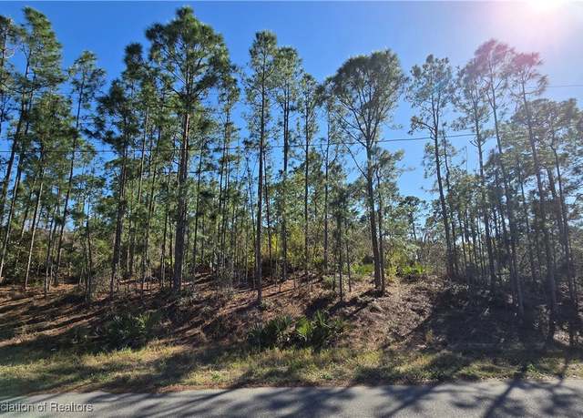 Property at 103 Sentimental Ct, Lake Placid, FL 33852
