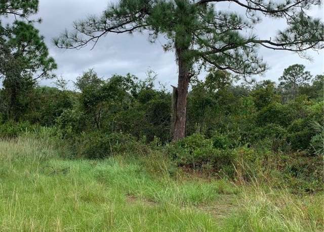 Property at 1217 Cardwell St, Lake Placid, FL 33852