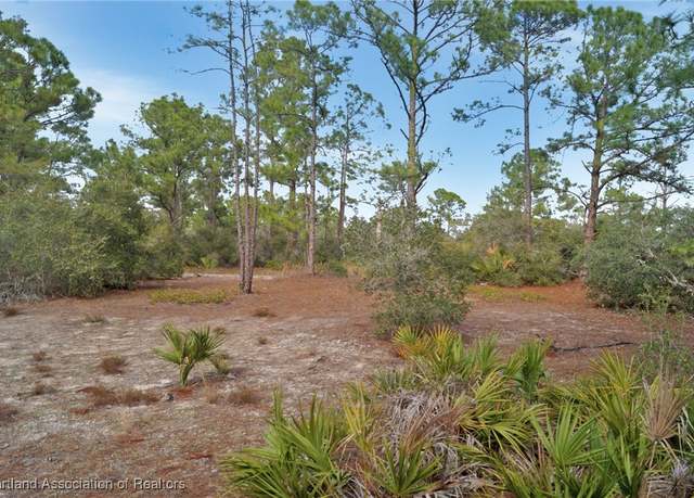 Property at 425 Surrender Ave, Lake Placid, FL 33852