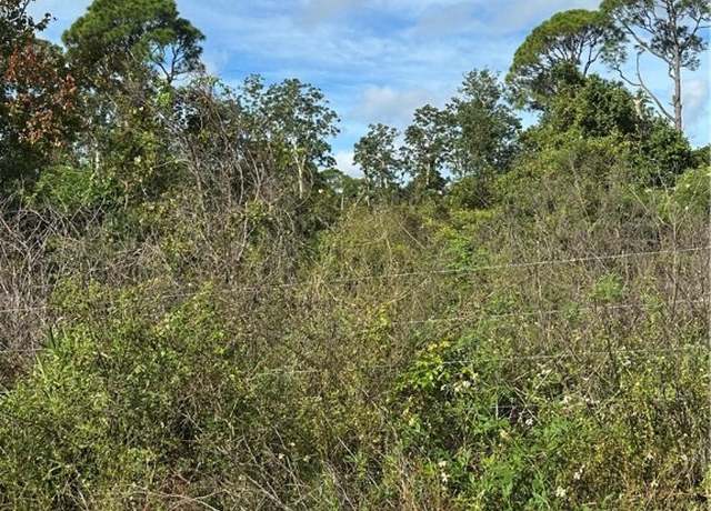 Property at 603 Daytona Ave, Lake Placid, FL 33852