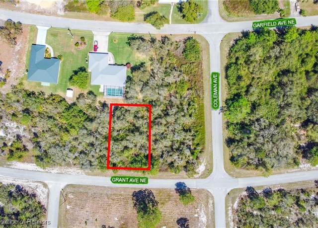 Property at 324 Grant Ave NE, Lake Placid, FL 33852
