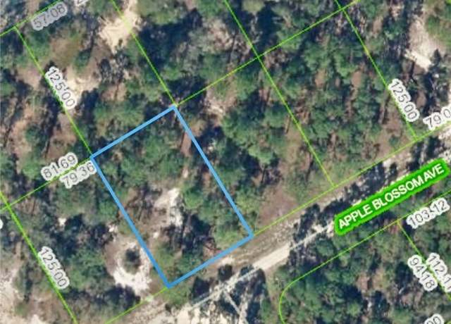 Property at 406 Apple Blossom Ave, Lake Placid, FL 33852