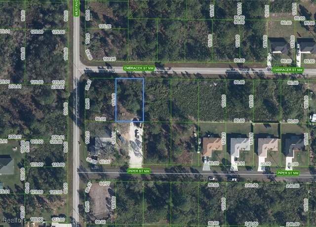 Property at 546 Embracer St NW, Lake Placid, FL 33852