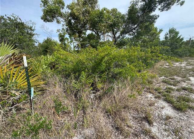 Property at 439 Hoover Ave NE, Lake Placid, FL 33852